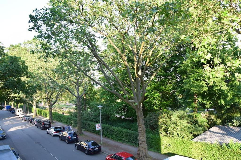 Schoene In - Neustadt Апартаменты *